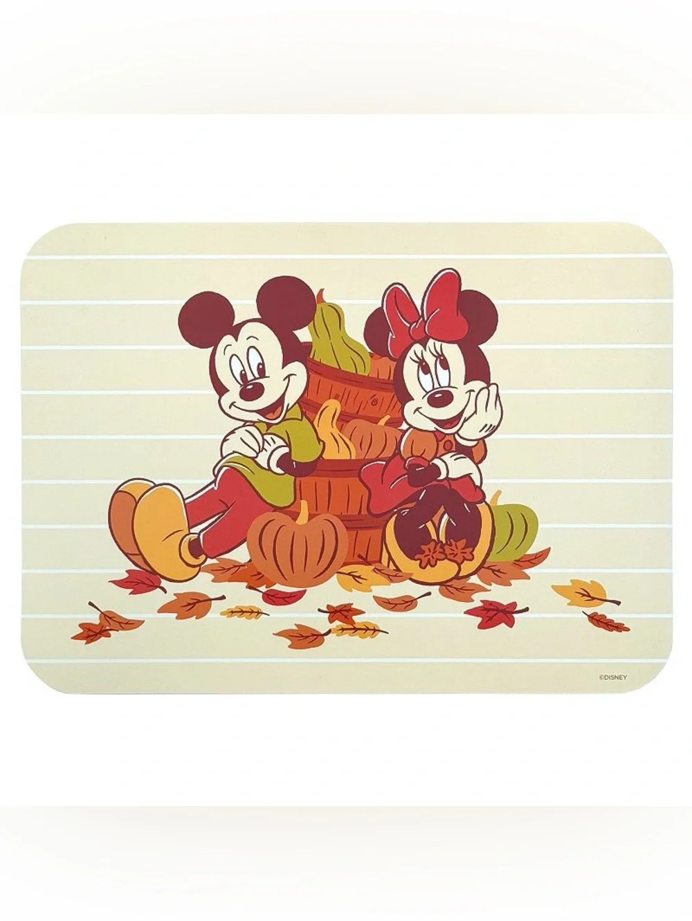 NWT Disney's Mickey and Minnie Rigid Placemats Celebrate Together™ Fall